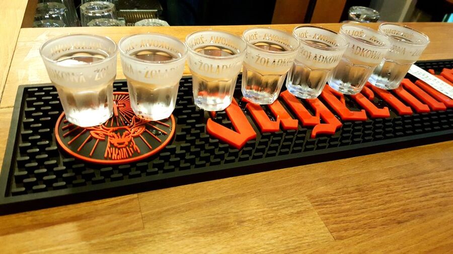 Gdansk: Daily Vodka Tasting Tour - Who This Tour Fits Best