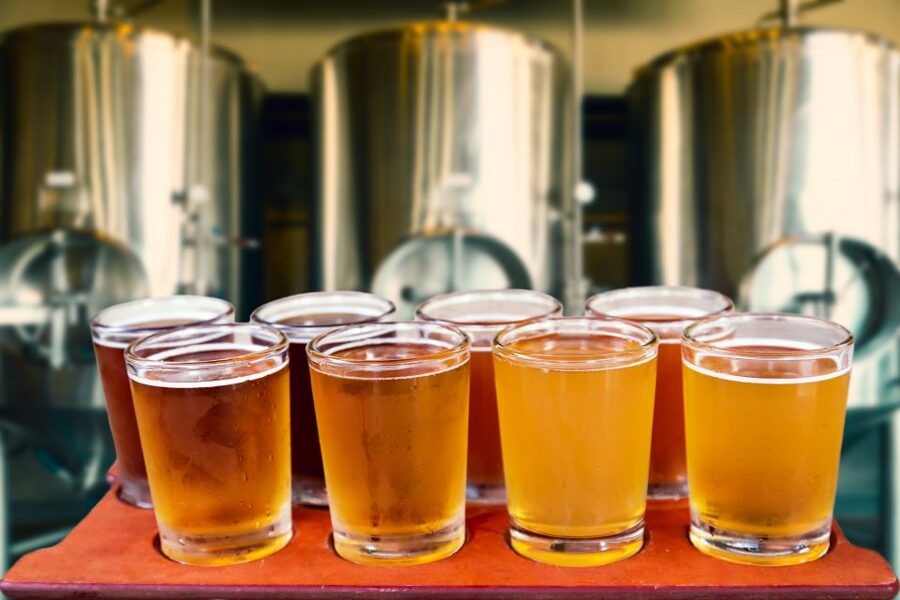 Gdansk: Polish Beer Tasting Tour - Who This Tour Suits Best