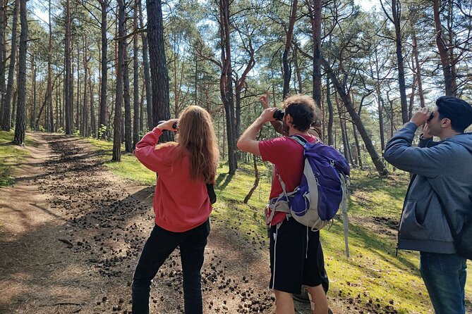 Nature Walk and Wildlife Tour in Sobieszewo Island - Key highlights you’ll care about