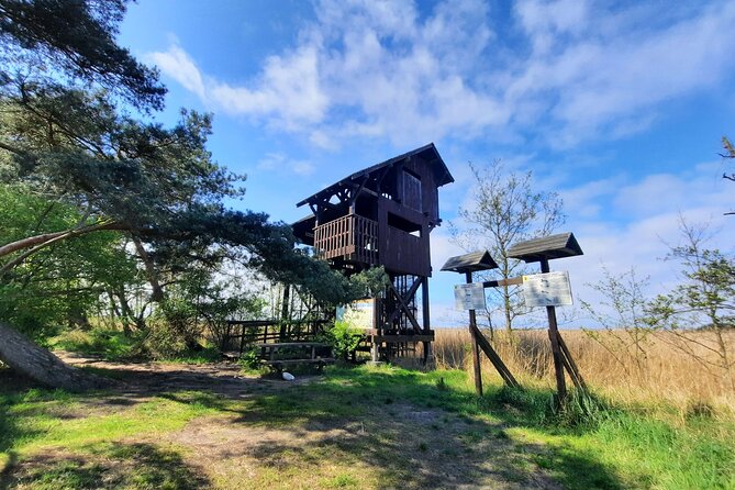 Nature Walk and Wildlife Tour in Sobieszewo Island - Stop 3: The Znak Ptasi Raj rest bench (picnic-friendly break)