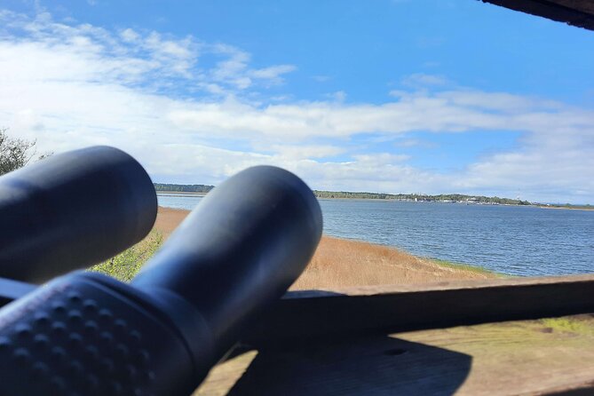 Nature Walk and Wildlife Tour in Sobieszewo Island - Stop 4: Plaża 19 for sea birds, including white-tailed eagles