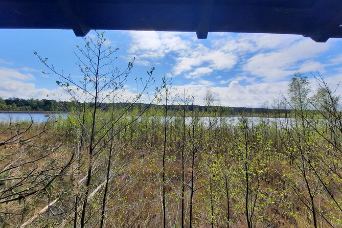 Nature Walk and Wildlife Tour in Sobieszewo Island - Stop 5: Altana near the reserve exit for the final viewing wrap-up