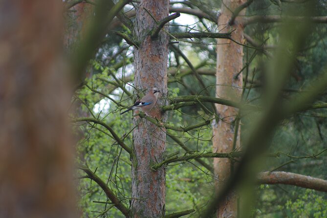 Nature Walk and Wildlife Tour in Sobieszewo Island - What to bring so the day feels easy