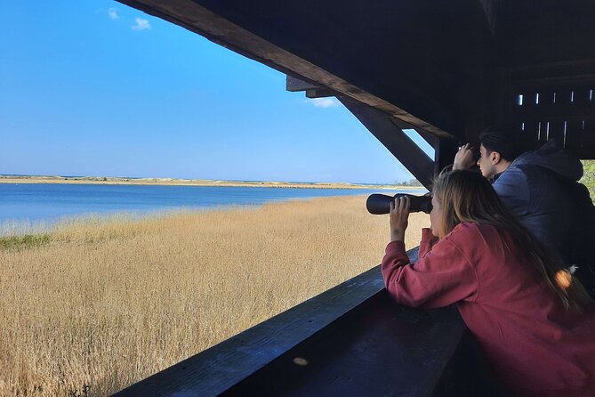 Nature Walk and Wildlife Tour in Sobieszewo Island - Stop 2: Observation Tower No. 2 for Jezioro Ptasi Raj and the Bay of Gdańsk