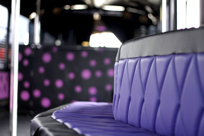 Private Party Bus & Nightclub Entry in Gdansk/Sopot - Stop 1: the city cruise—where the fun starts