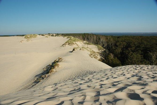 Slowinski National Park Private Tour - Price and value: what $250.04 per person buys you