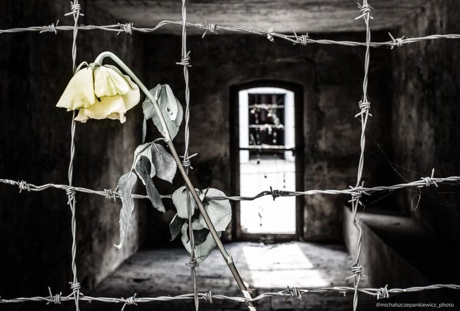 Stutthof Concentration Camp Half-Day Private Tour - Time, Pace, and Who This Private Half-Day Fits