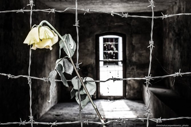 Stutthof Concentration Camp Private Tour from Gdansk - Stutthof Concentration Camp: why this private tour is such a good match